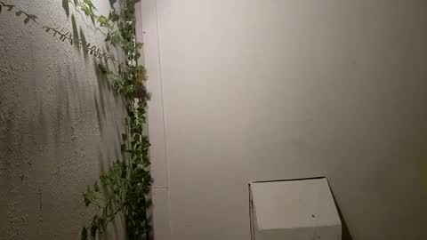 longdick3587 online show from 02/17/25, 05:14