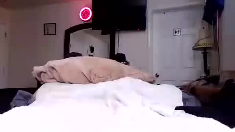 lookatmecum4you online show from 10/17/25, 08:28