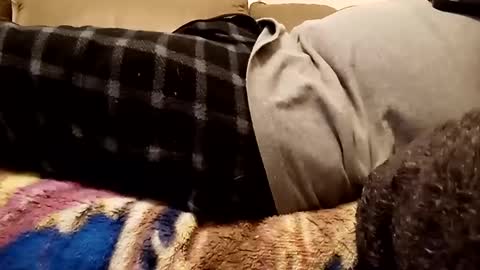 looking4bush online show from 12/01/24, 10:43