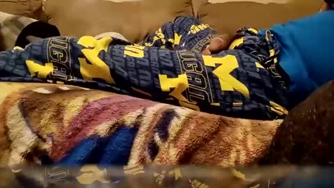 looking4bush online show from 12/25/24, 10:59