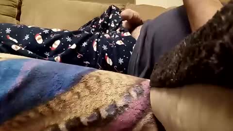 looking4bush online show from 12/23/25, 02:42