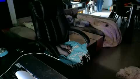 Snapshot of loov2watch chatting on 06/02/26, 04:09 Mato online show from 06/02/26, 04:09