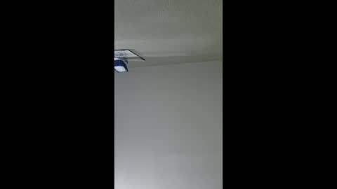 2791 3D online show from 12/17/25, 05:35