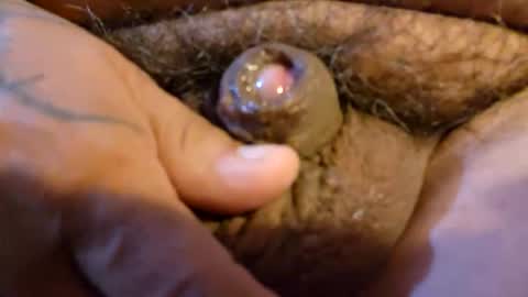 2791 3D online show from 03/19/26, 12:58