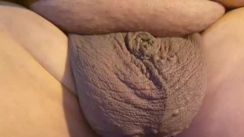 2791 3D online show from 04/23/26, 12:12