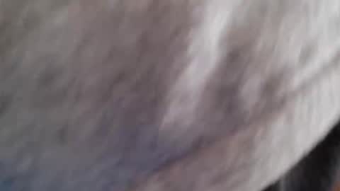 Snapshot of lordhealt chatting on 04/30/26, 01:17 lordhealt online show from 04/30/26, 01:17