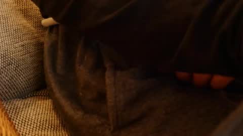 lostinspaxe online show from 11/28/25, 05:26