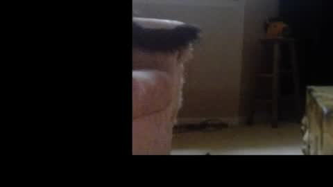 love69bush online show from 02/04/26, 06:30