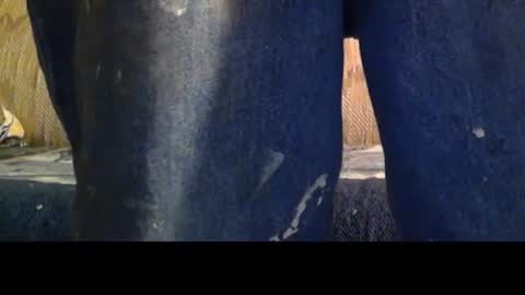 love69bush online show from 02/08/26, 04:16