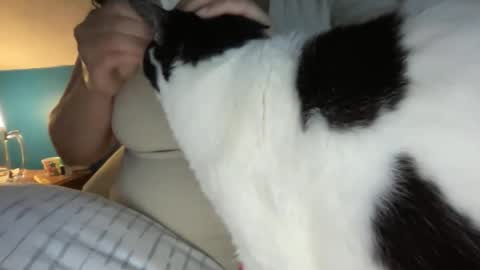 Kate online show from 04/25/26, 10:51