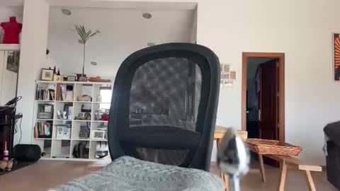 Loveisperfect online show from 01/17/26, 10:31