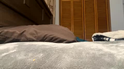 Snapshot of lovelace390 chatting on 02/12/25, 01:27 Amber online show from 02/12/25, 01:27