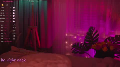 Nelly online show from 02/11/25, 05:29