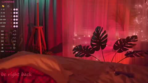 Nelly online show from 02/21/25, 05:20