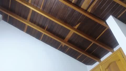 Trix online show from 01/20/25, 11:45