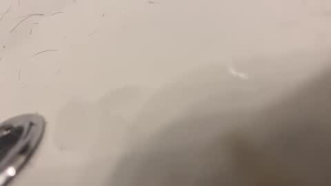 Snapshot of lovetoplayinmnwithu chatting on 01/30/25, 11:34 lovetoplayinmnwithu online show from 01/30/25, 11:34