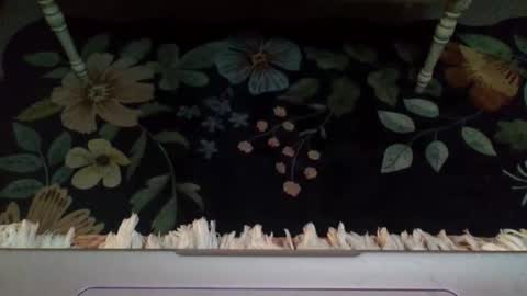 lovetubes101 online show from 10/29/25, 12:46