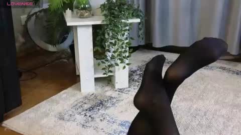lowkeywild_ online show from 06/12/26, 04:55