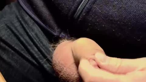 Lt645 online show from 12/07/24, 08:11