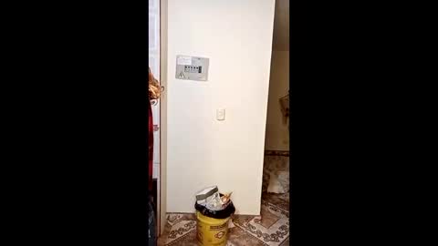 luana363 online show from 01/11/26, 04:50