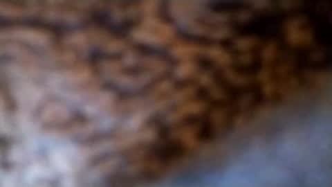 lubestroker4us online show from 02/14/26, 05:32