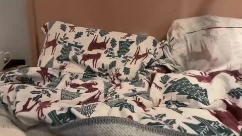 lucca_d123 online show from 09/22/25, 07:21