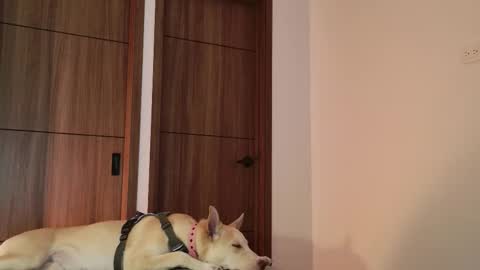 Luci y Fer online show from 09/09/25, 01:49