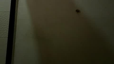 Luciana Ramirez  Sofia Collins online show from 05/09/26, 09:42