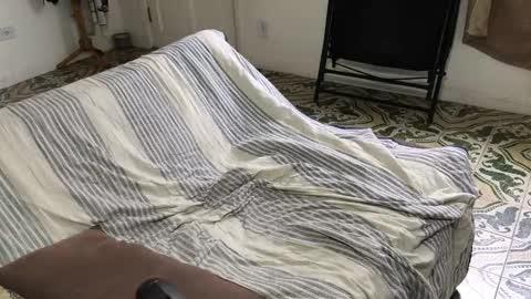 lucifer_curious online show from 11/08/25, 04:18