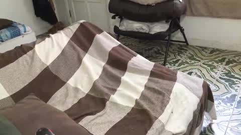 lucifer_curious online show from 03/28/26, 04:39