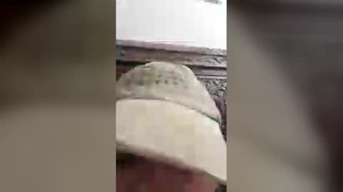 luckyfalcon2022 online show from 06/30/26, 05:08