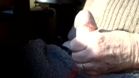 BIG Daddy cock. Tips make it harder  online show from 03/08/26, 10:08