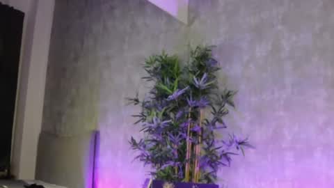 lucyrayy online show from 02/04/26, 10:58