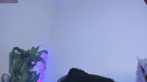 luciana online show from 11/07/25, 01:16