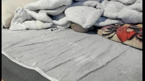 luffykun300 online show from 04/06/26, 12:52