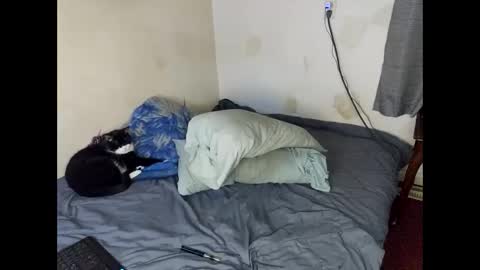 Snapshot of lukeandali23 chatting on 02/01/25, 03:30 Lukeandali420 online show from 02/01/25, 03:30