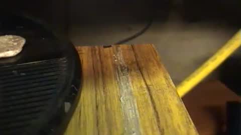 lukestarfckr online show from 09/29/25, 07:19