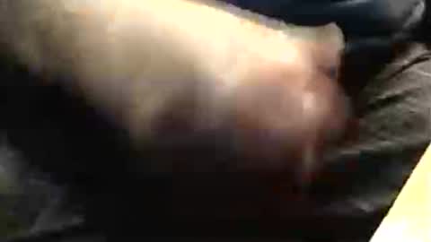 lukestarfckr online show from 11/23/25, 07:57