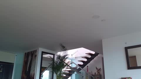 Lukhas f4f online show from 02/12/25, 08:07