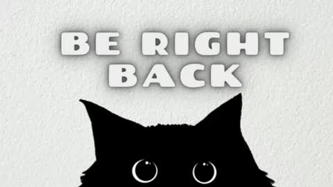 elizabeth online show from 04/14/26, 11:55