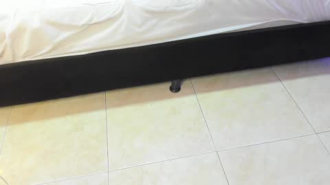 Snapshot of lulu_kawai chatting on 02/10/26, 07:18 lulu online show from 02/10/26, 07:18