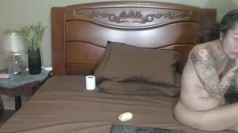 lulu_wild online show from 04/01/26, 11:44