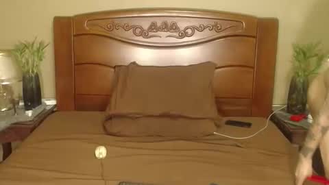 lulu_wild online show from 04/10/26, 08:30