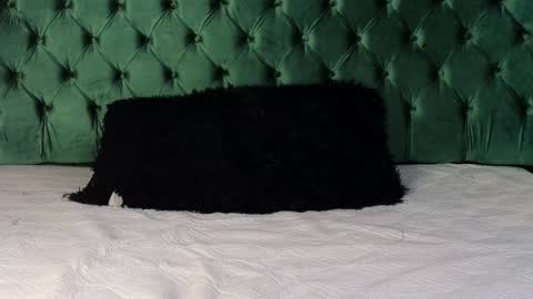 Lumars online show from 01/29/25, 01:37