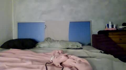 Snapshot of lumivex chatting on 11/30/25, 01:09 lumivex online show from 11/30/25, 01:09