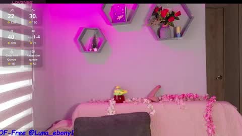 Snapshot of luna_ebony1 chatting on 04/29/26, 02:54 Couple X online show from 04/29/26, 02:54