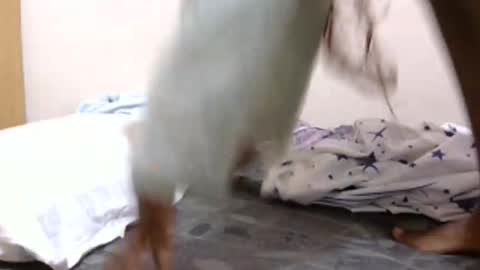 lunargoddess45 online show from 03/03/26, 03:12