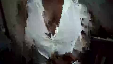 Nessy online show from 10/20/25, 12:22