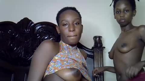 lutino_lovebirds online show from 03/12/26, 06:58