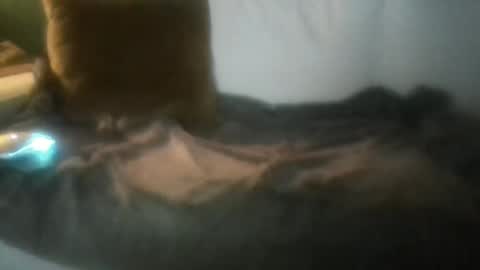 luvbigtits271 online show from 01/01/25, 06:26